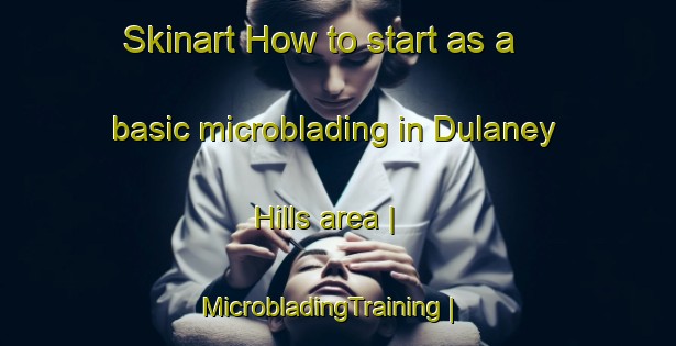 Skinart How to start as a basic microblading in Dulaney Hills area | MicrobladingTraining | MicrobladingClasses | SkinartTraining-United States